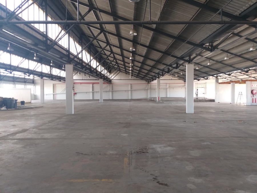 To Let Commercial Property for Rent in Paarden Eiland Western Cape